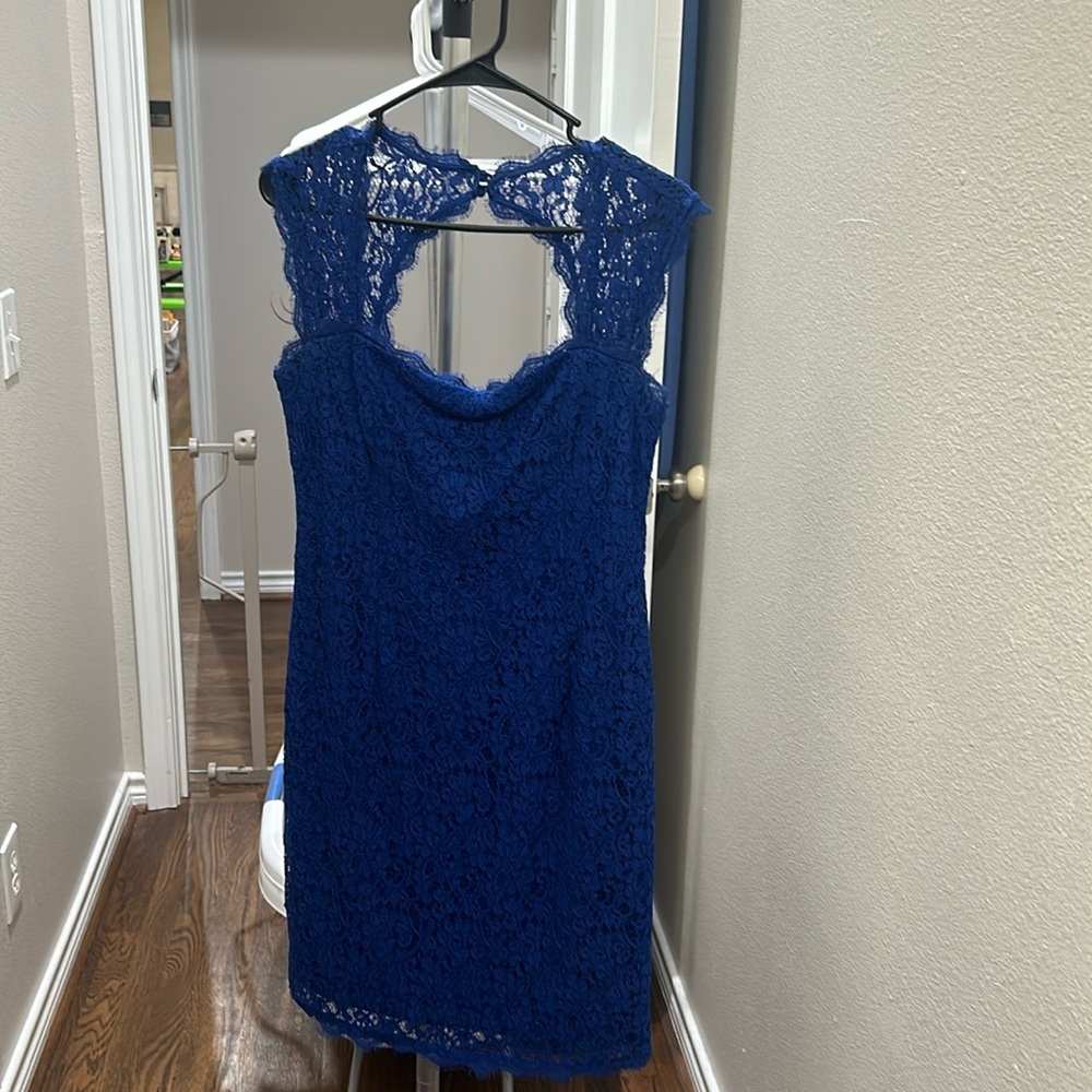 Beautiful Adrianna Papell Size 10 Lace Dress